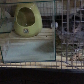 ゴージャス風呂☆の画像