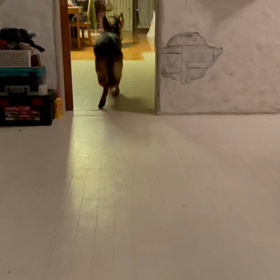 おやすみなさいの前の運動会の画像