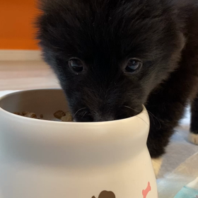 もう使えるの⁉️の画像