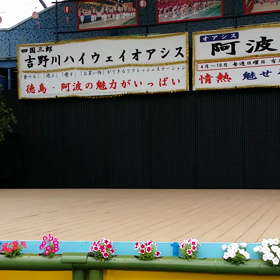 阿波おどり 6/28 もみじ連さん ムービー編①の画像