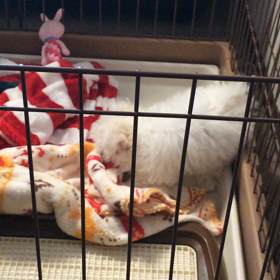 ぐちゃぐちゃ王アルビンの画像