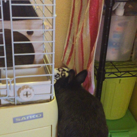 食べたいんだーーーっ(>_<)の画像