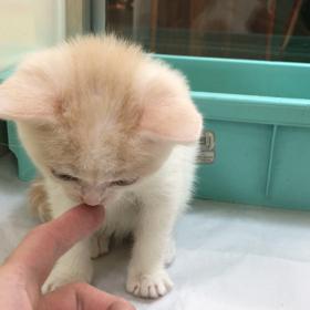 慣れて来たょ♡の画像