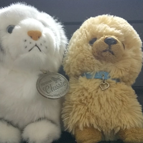 エンターテイナーを弾いてみたの画像