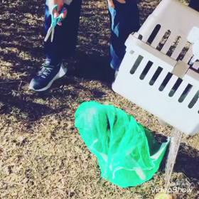 2021年の初TNRの画像