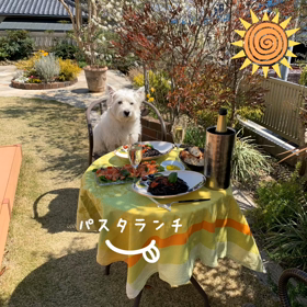 お庭でパスタランチの画像