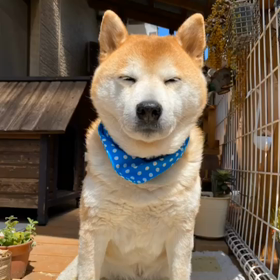 蘭丸動画第二段（笑）の画像