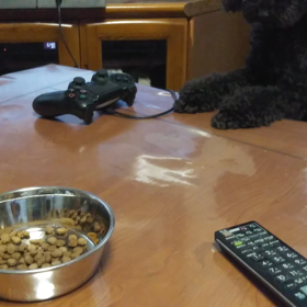 とどかないライの画像