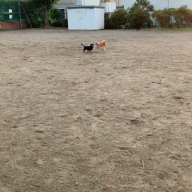 友達が出来ました╰(*´︶`*)╯♡の画像