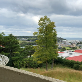 決まりごとの画像