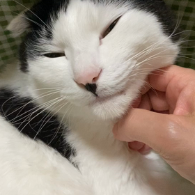 ささやかな幸せの積み立ての画像