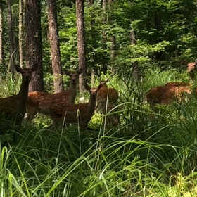 気まぐれマヤ暦　Ｋ１３１　８／７　金の画像