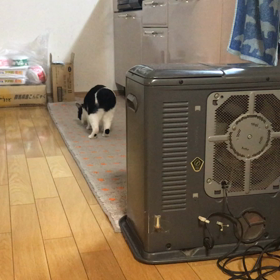 疲れてなんていないさと思い込むの画像