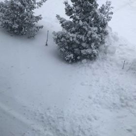 言霊の力を侮るなかれの画像