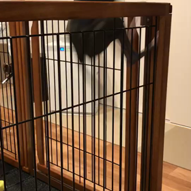 今日のハウル  飛んでいますの画像