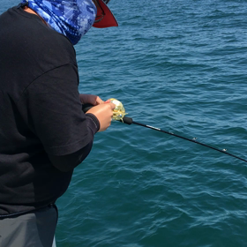 5月14日ビッグファイト!魚肉タイラバ炸裂編の画像