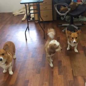 お昼の時間の画像