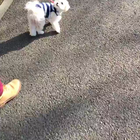 なにしてますか。の画像