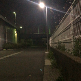 NEW  BANK‼️の画像