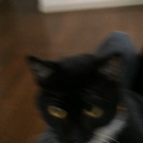 ライアン甘えん坊のストーカーの画像