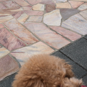 ボール遊びしたよっ！の画像