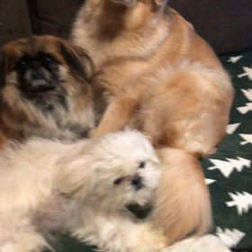 お疲れ〜の画像