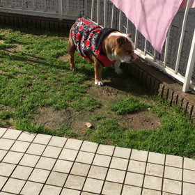 とんでもない数になってるー！の画像