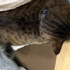 お母さんの油断の画像