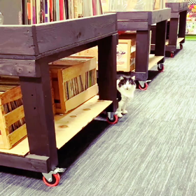 She is a friend I made in Americaの画像