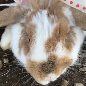 タイムラプスで撮影の画像