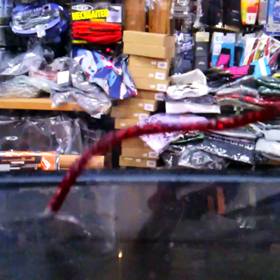 アノスト5.5"ネコ(movie)の画像