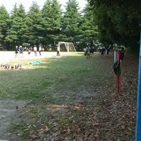 7月2日 走り幅跳び練習④の画像