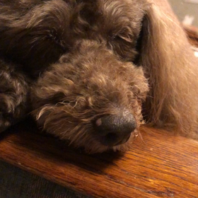 今日の出来事❗️の画像