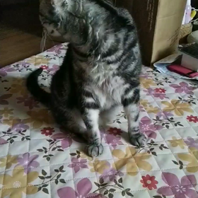 *悩ましい症状*の画像