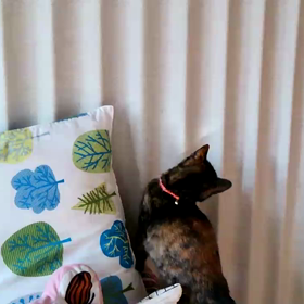 楽しんでます(^^)の画像