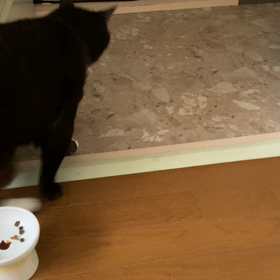 なっちゃんの画像