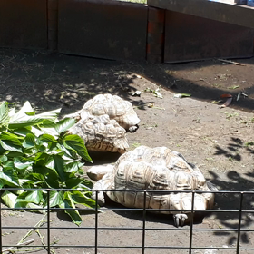 幸せかも‼️の画像