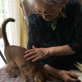 やっと会えたの画像