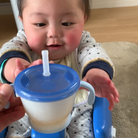 本日もデビューの画像