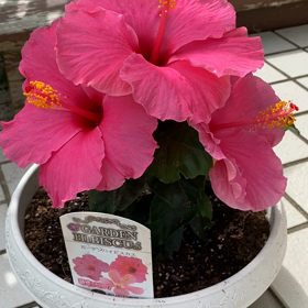 施術後に感動を与える事。明日も9:30〜21:00でやっております。の画像