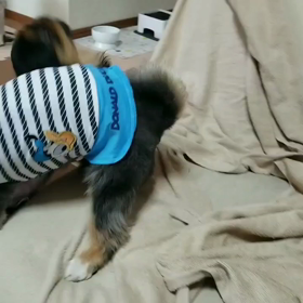 今からお出掛けなのに…の画像