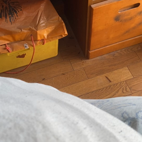 笑うんじゃねーのしゃち子の画像