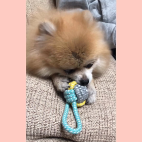 あかりん、驚くの画像