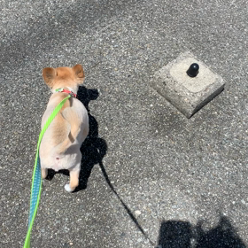 お泊まり♡ラッキーくんの画像