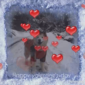 Happy Valentine's Dayの画像