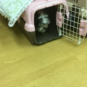 まだまだ怖がりさん。の画像