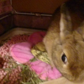 ストレスMAXの画像