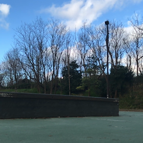 通勤途中のスケートその2は50ー50の画像