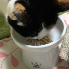 うれしい出来事が❤の画像