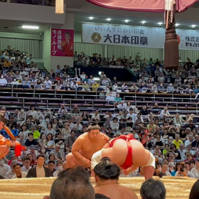 名古屋場所の画像